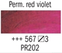 Picture of Rembrandt Oil 40ml - 567 - Permanent Red Violet