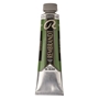 Picture of Rembrandt Oil 40ml - 623 - Sap Green 