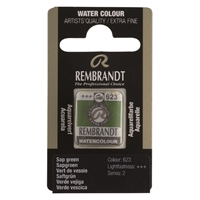 Picture of Rembrandt Watercolour Half Pan - 623 - Sap Green   S2